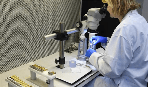 woman using a microscope